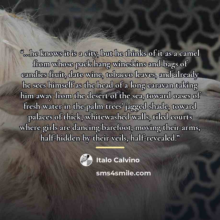 “...he knows it is a city, but he thinks of it as a camel from whose pack hang wineskins and bags of candies fruit, date wine, tobacco leaves, and already he sees himself as the head of a long caravan taking him away from the desert of the sea, toward oases of fresh water in the palm trees' jagged…” quote by Italo Calvino