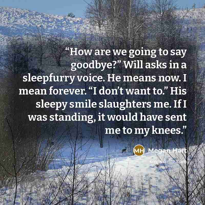 “How are we going to say goodbye?” Will asks in a sleepfurry voice. He means now. I mean forever. “I don’t want to.” His sleepy smile slaughters me. If I was standing, it would have sent me to my knees.” quote by Megan Hart