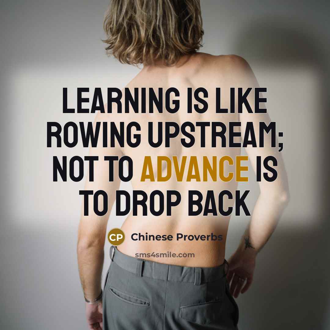 “Learning is like rowing upstream; not to advance is to drop back” quote by Chinese Proverbs