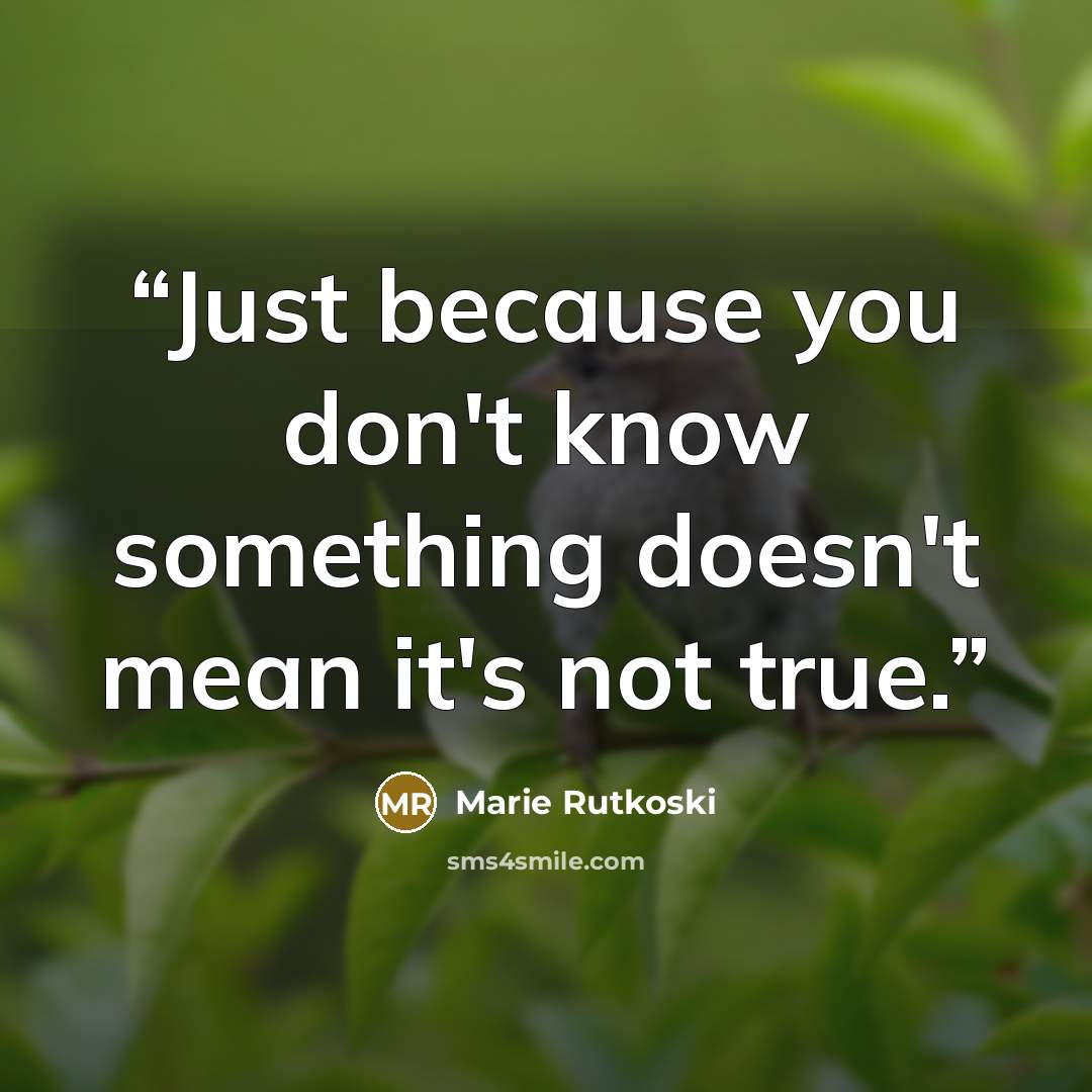 “Just because you don't know something doesn't mean it's not true.” quote by Marie Rutkoski