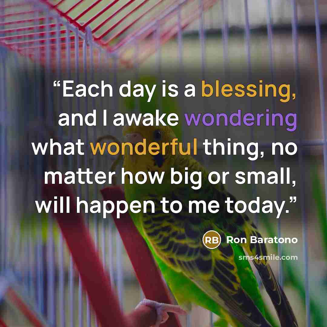 “Each day is a blessing, and I awake wondering what wonderful thing, no matter how big or small, will happen to me today.” quote by Ron Baratono