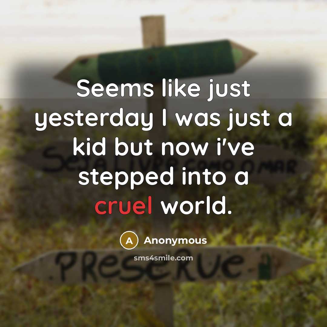 “Seems like just yesterday I was just a kid but now i've stepped into a cruel world.” quote by Anonymous