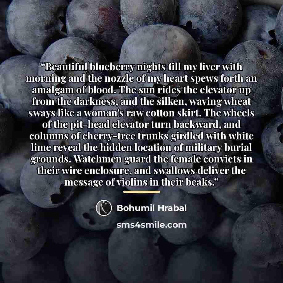 “Beautiful blueberry nights fill my liver with morning and the nozzle of my heart spews forth an amalgam of blood. The sun rides the elevator up from the darkness, and the silken, waving wheat sways like a woman's raw cotton skirt. The wheels of the pit-head elevator turn backward, and columns of…” quote by Bohumil Hrabal