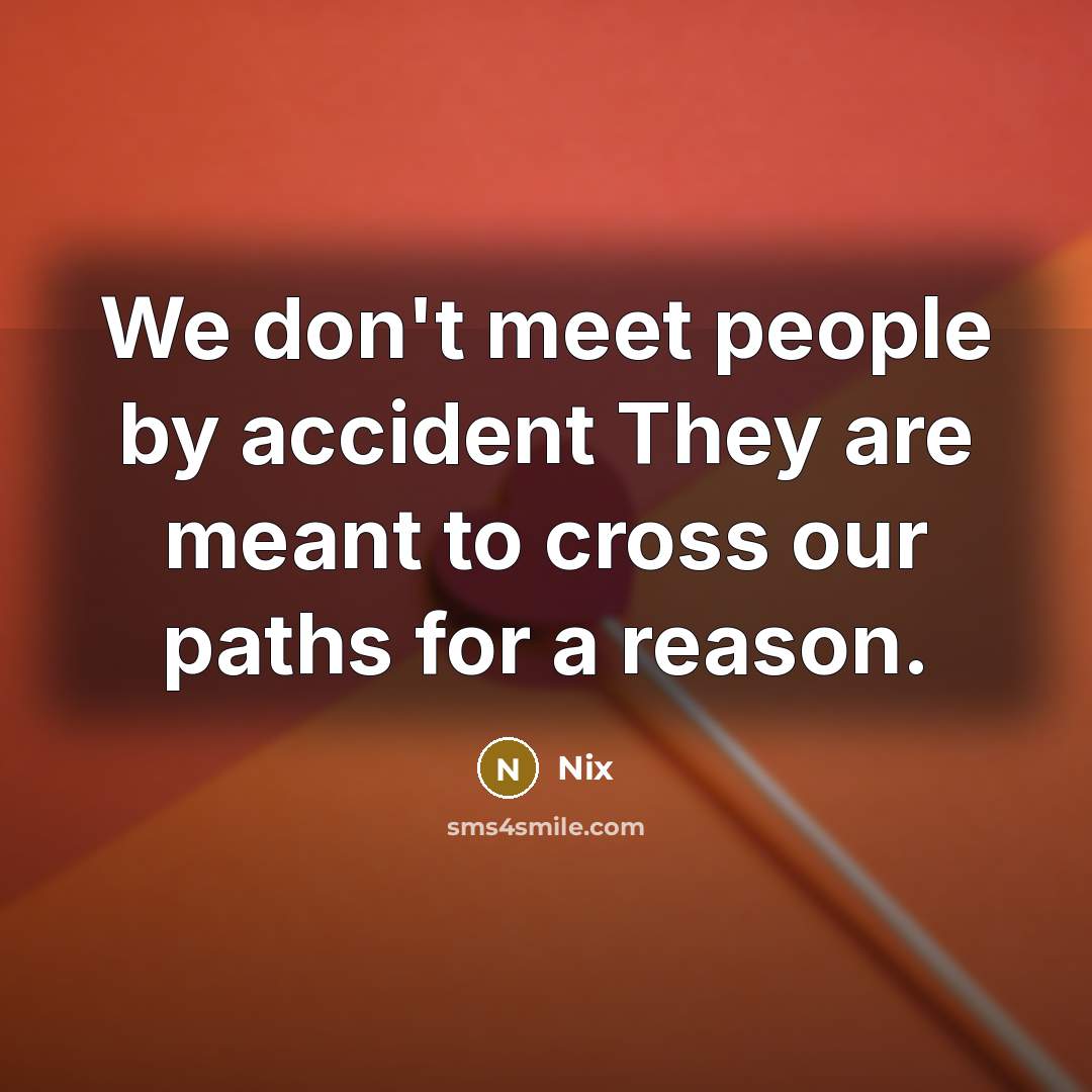 “We don't meet people by accident They are meant to cross our paths for a reason.” quote by Nix