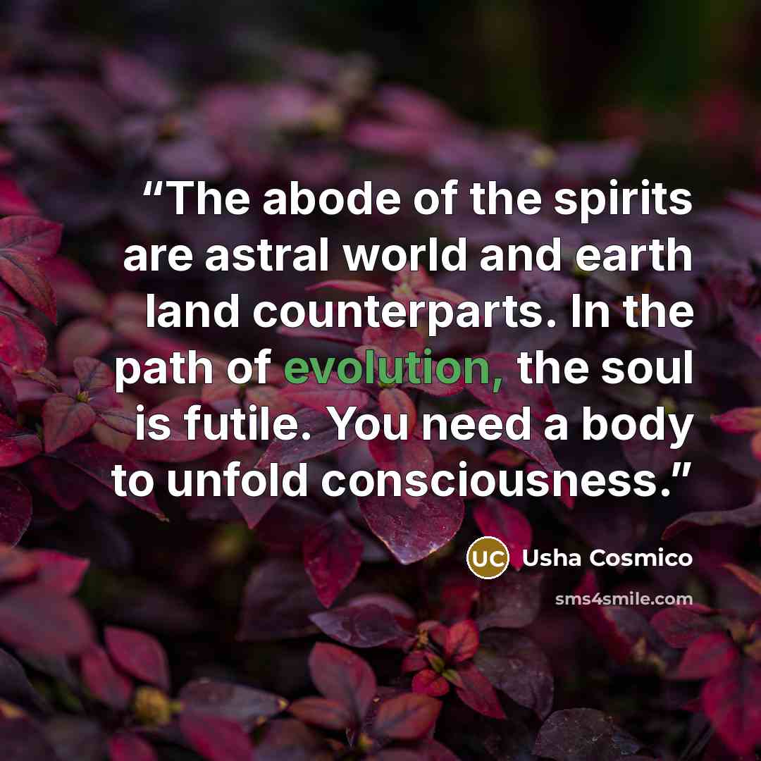 “The abode of the spirits are astral world and earth land counterparts. In the path of evolution, the soul is futile. You need a body to unfold consciousness.” quote by Usha Cosmico