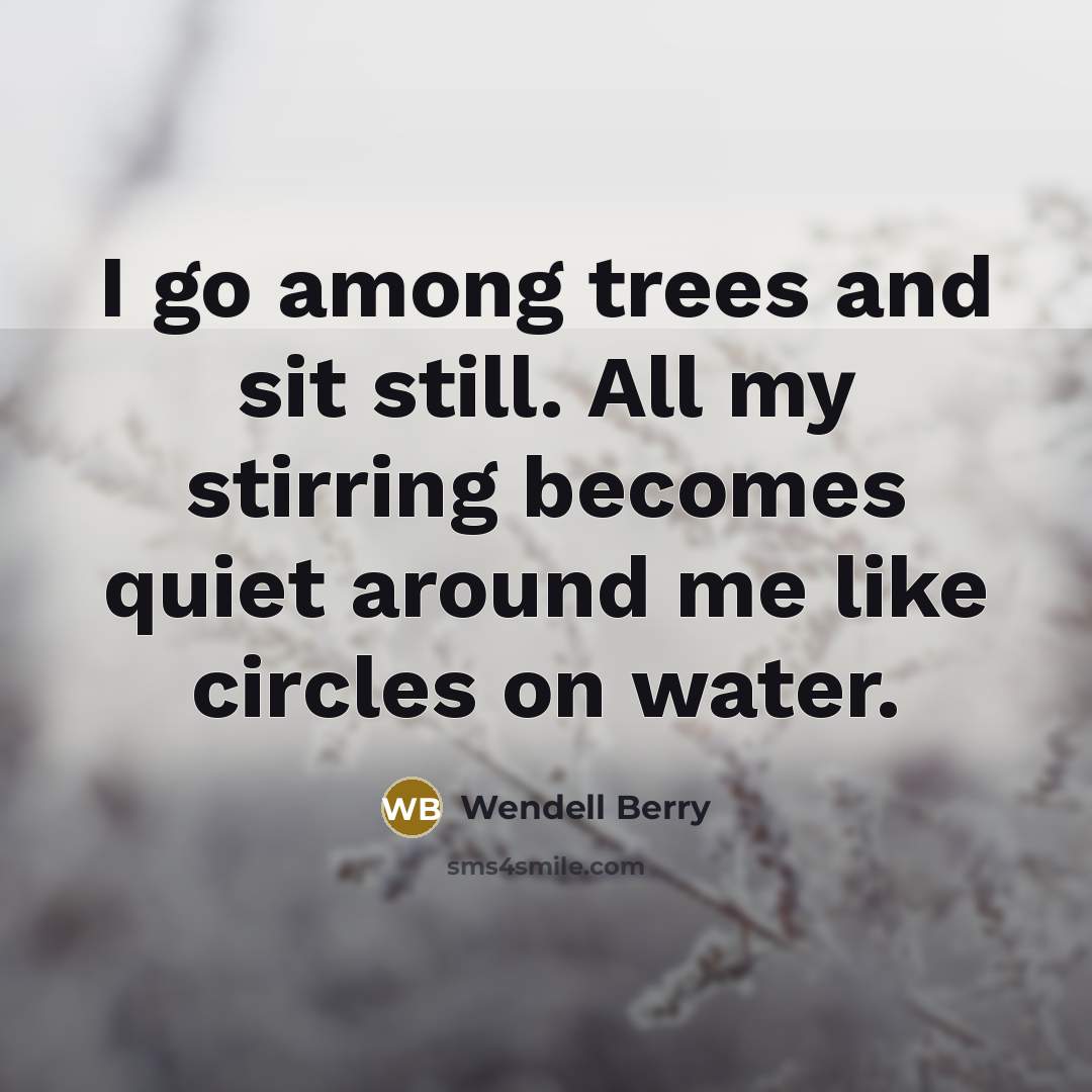 “I go among trees and sit still. All my stirring becomes quiet around me like circles on water.” quote by Wendell Berry