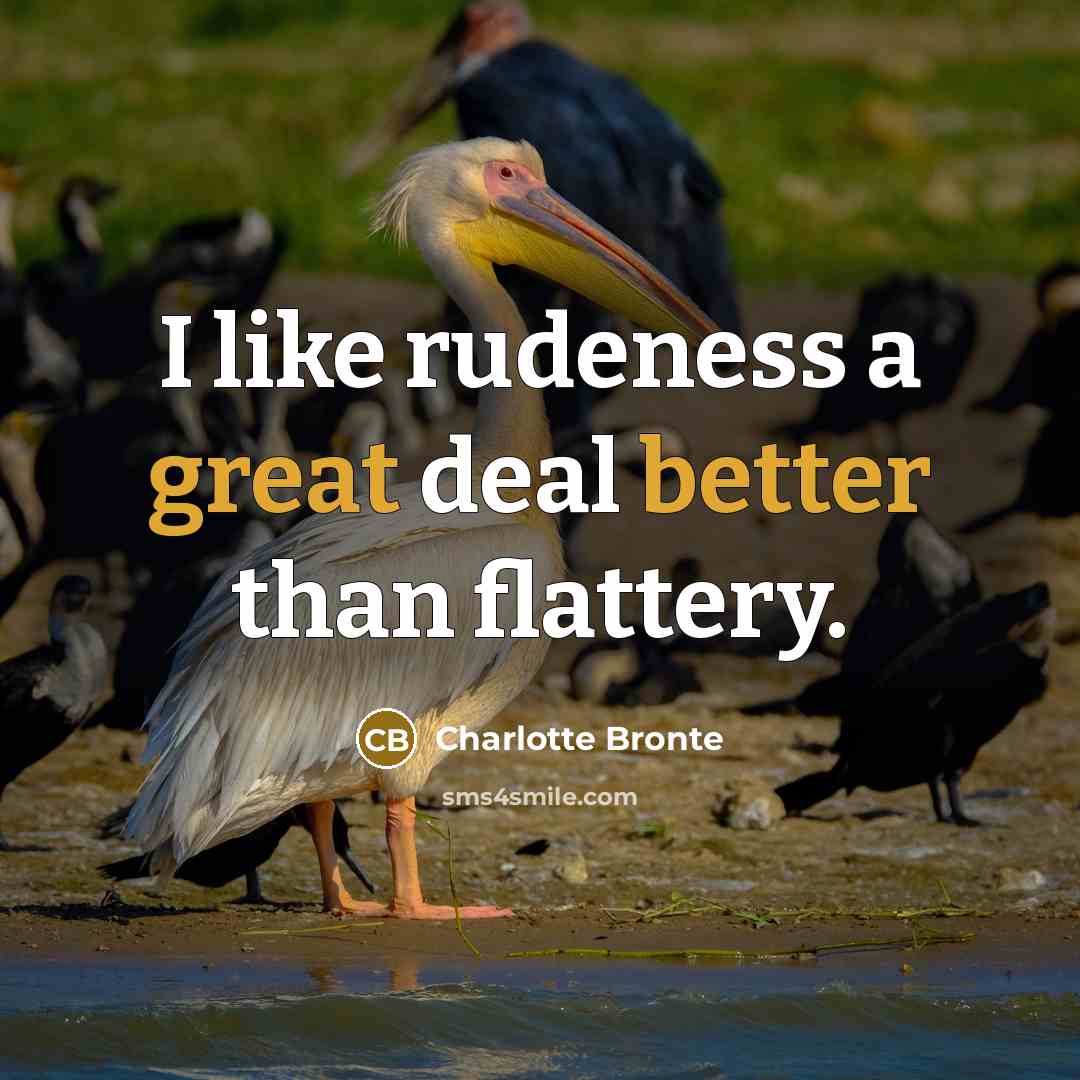 “I like rudeness a great deal better than flattery.” quote by Charlotte Bronte
