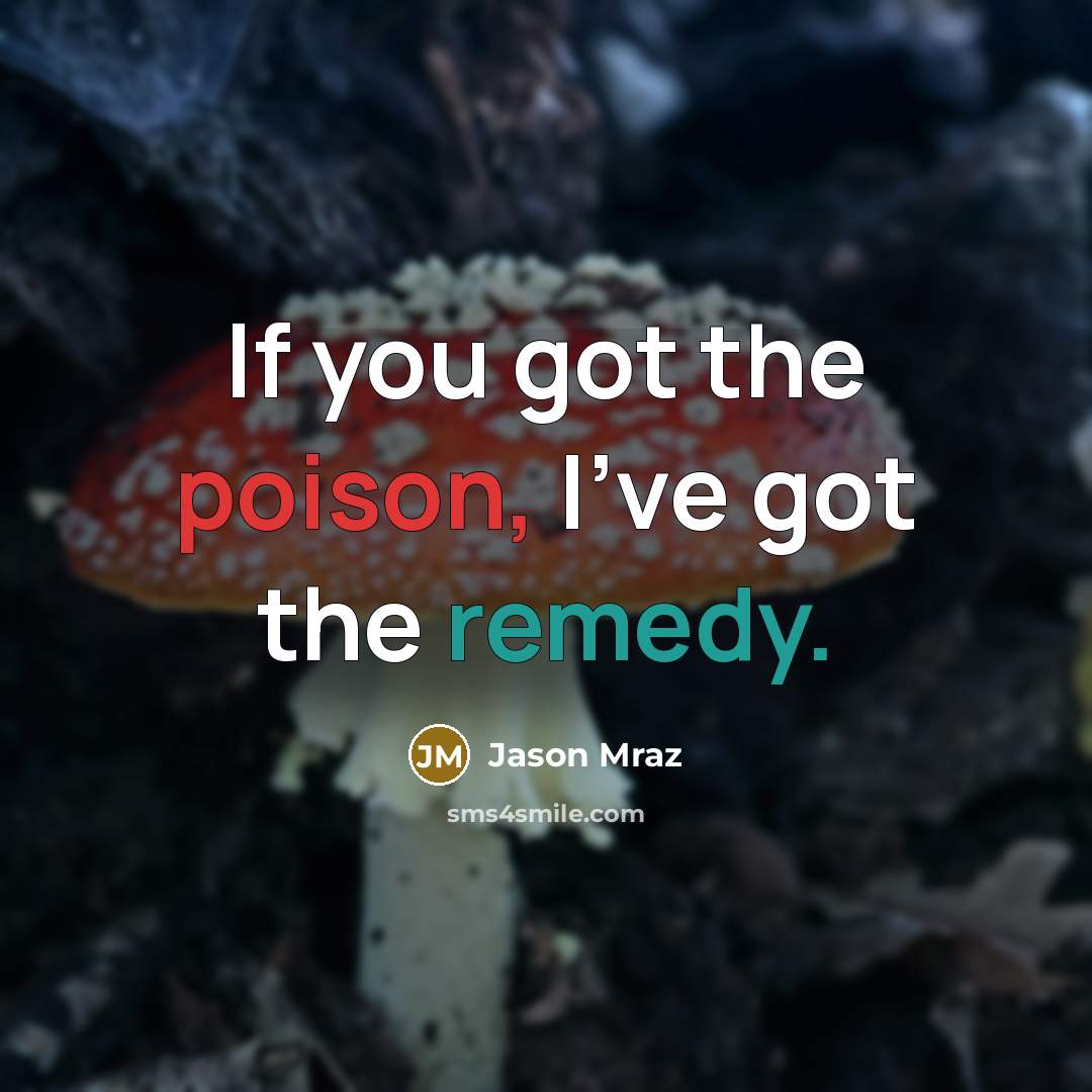 “If you got the poison, I've got the remedy.” quote by Jason Mraz