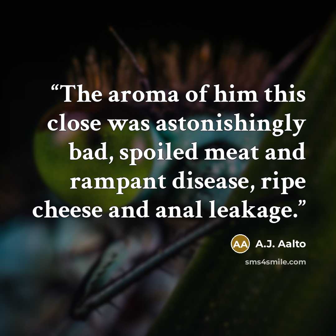 “The aroma of him this close was astonishingly bad, spoiled meat and rampant disease, ripe cheese and anal leakage.” quote by A.J. Aalto