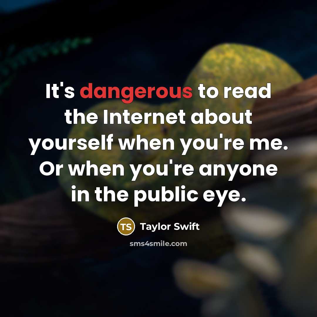 “It's dangerous to read the Internet about yourself when you're me. Or when you're anyone in the public eye.” quote by Taylor Swift