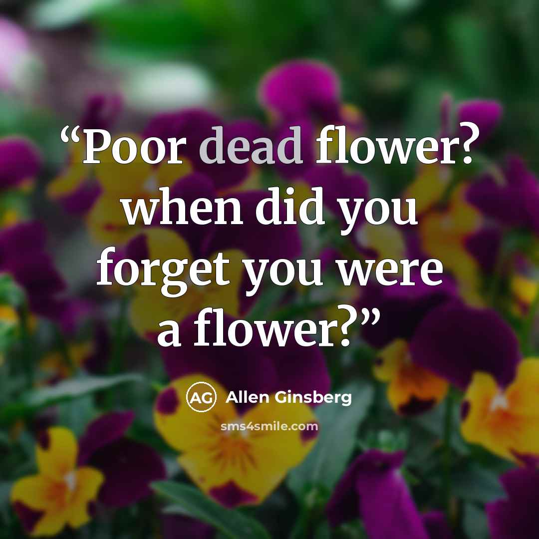 “Poor dead flower? when did you forget you were a flower?” quote by Allen Ginsberg