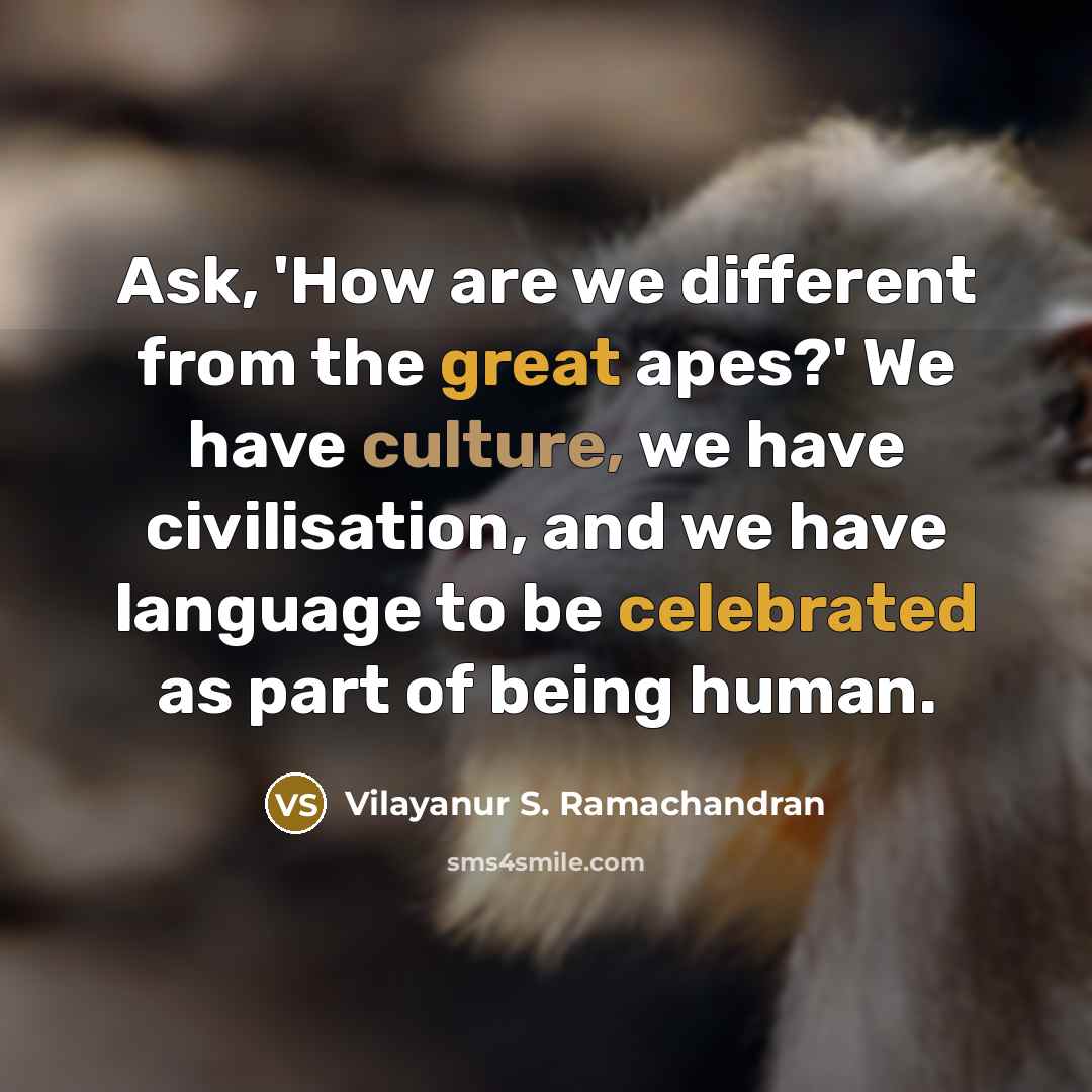 “Ask, 'How are we different from the great apes?' We have culture, we have civilisation, and we have language to be celebrated as part of being human.” quote by Vilayanur S. Ramachandran