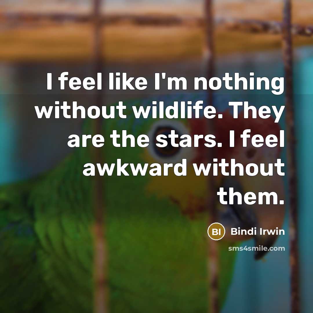 “I feel like I'm nothing without wildlife. They are the stars. I feel awkward without them.” quote by Bindi Irwin