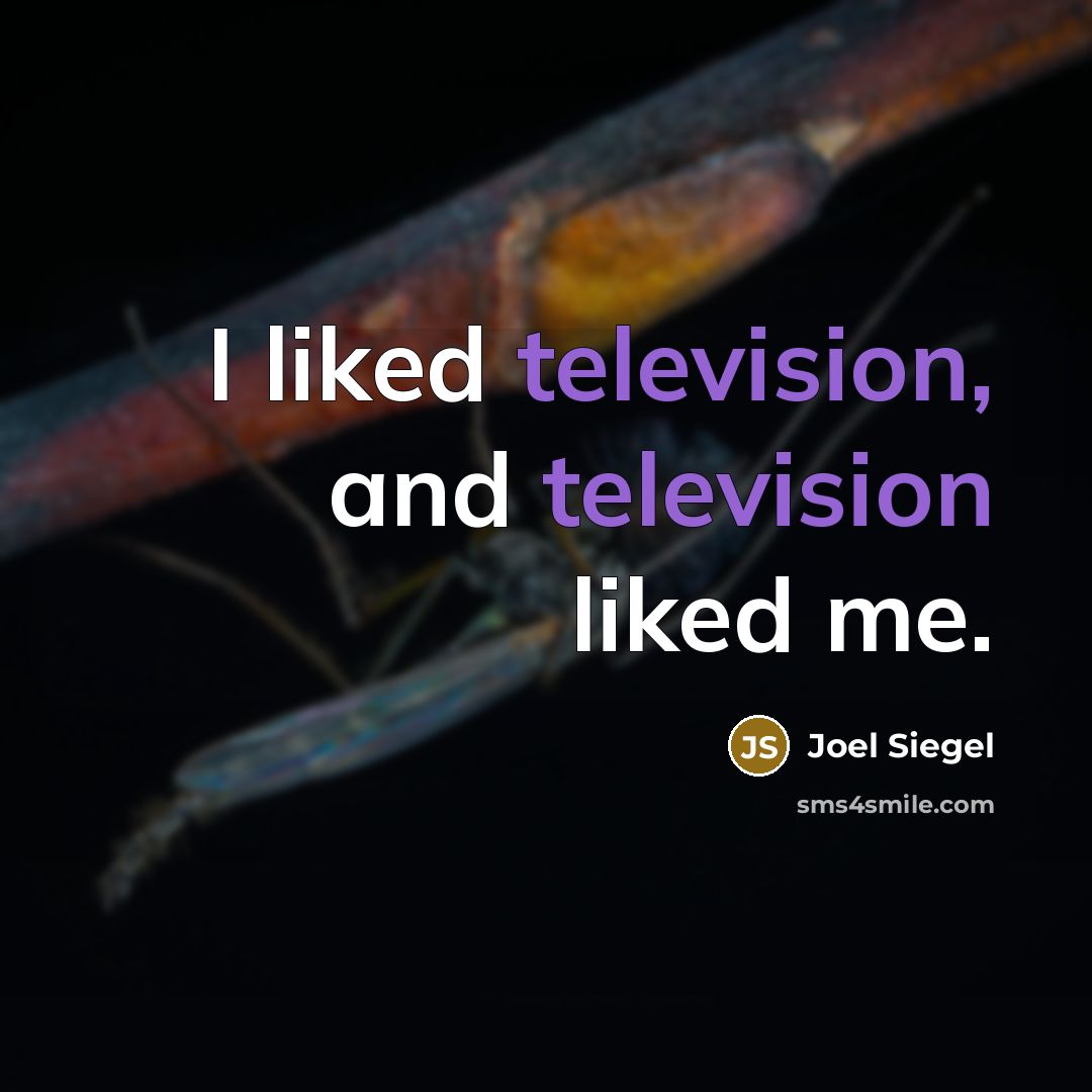 “I liked television, and television liked me.” quote by Joel Siegel