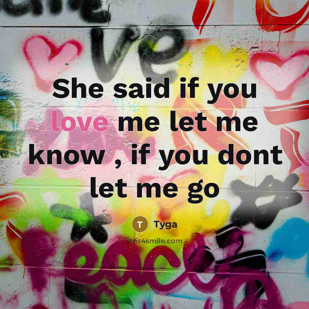 “She said if you love me let me know , if you dont let me go” quote by Tyga