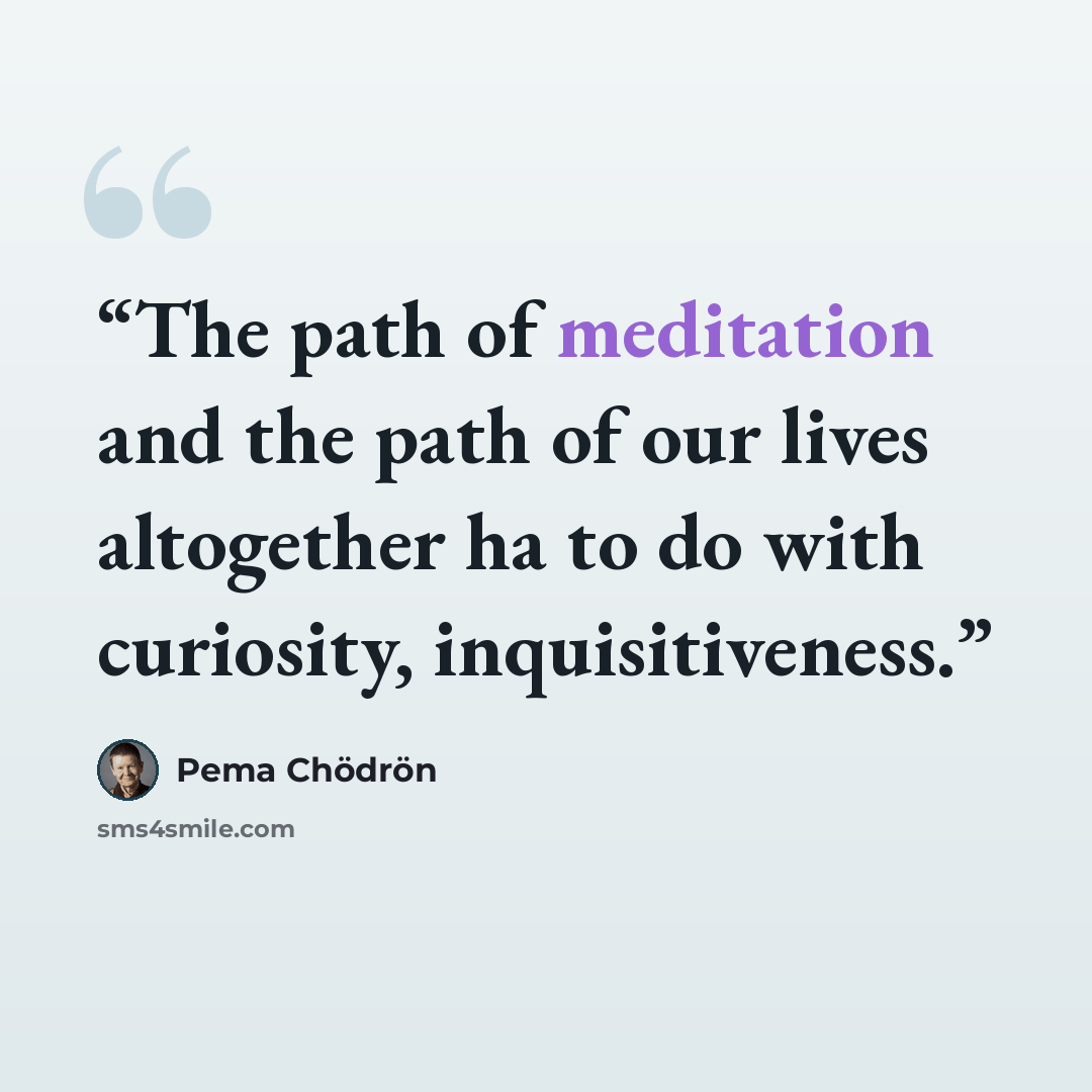 “The path of meditation and the path of our lives altogether ha to do with curiosity, inquisitiveness.” quote by Pema Chödrön
