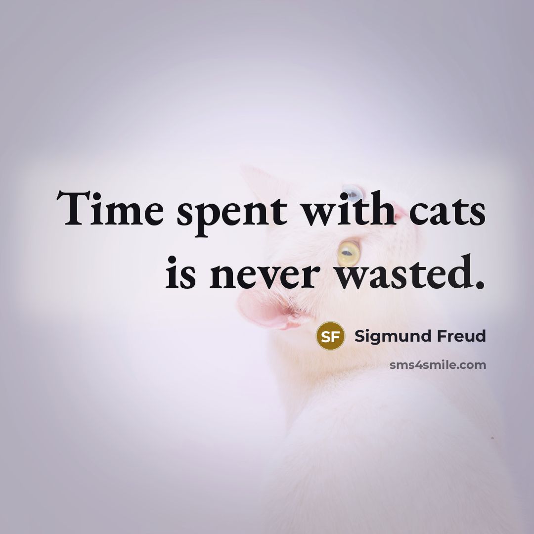 “Time spent with cats is never wasted.” quote by Sigmund Freud