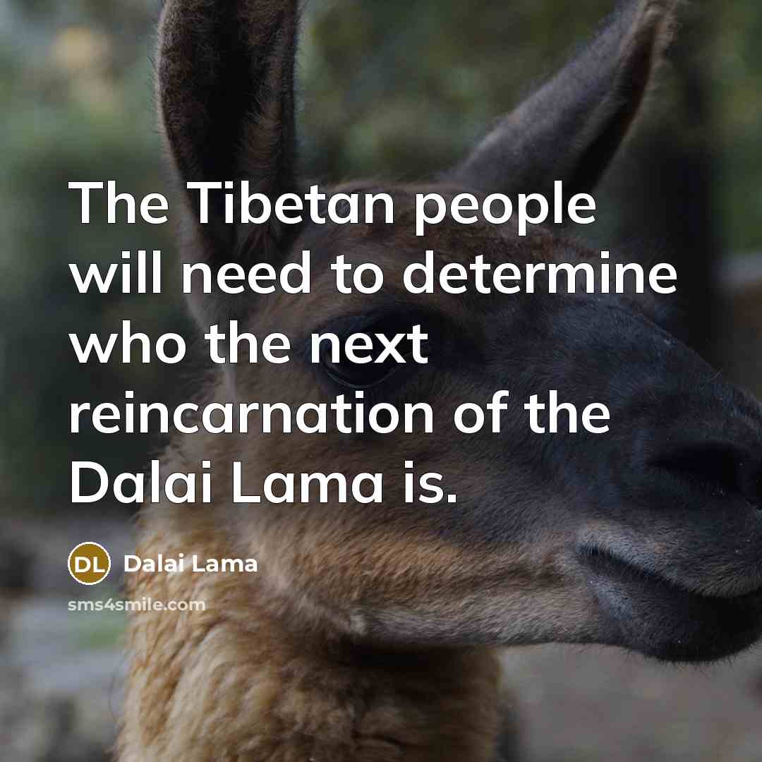 “The Tibetan people will need to determine who the next reincarnation of the Dalai Lama is.” quote by Dalai Lama