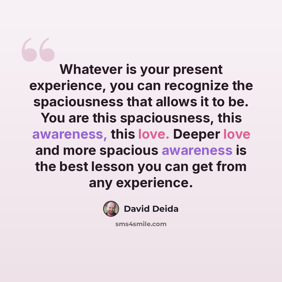 “Whatever is your present experience, you can recognize the spaciousness that allows it to be. You are this spaciousness, this awareness, this love. Deeper love and more spacious awareness is the best lesson you can get from any experience.” quote by David Deida