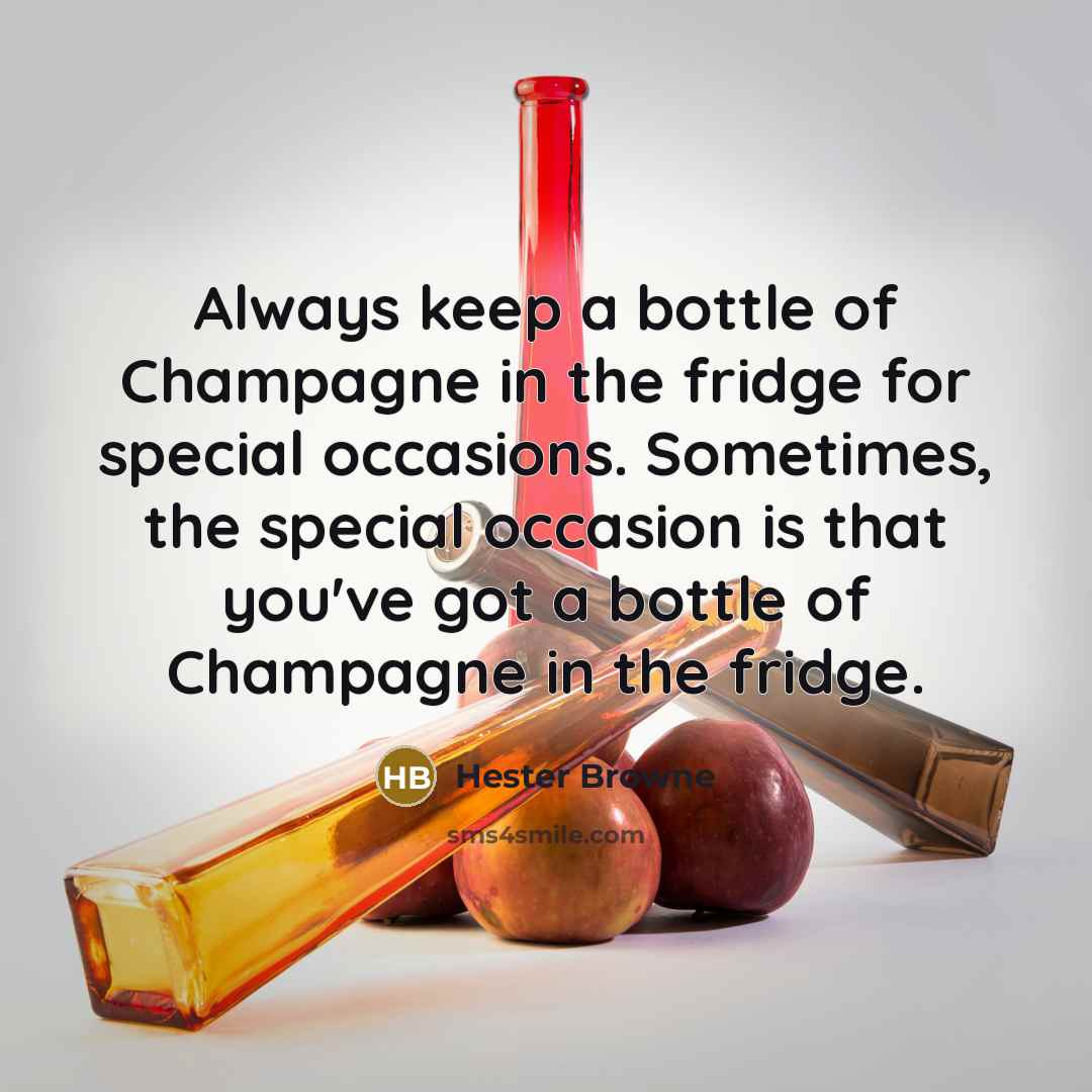 “Always keep a bottle of Champagne in the fridge for special occasions. Sometimes, the special occasion is that you've got a bottle of Champagne in the fridge.” quote by Hester Browne