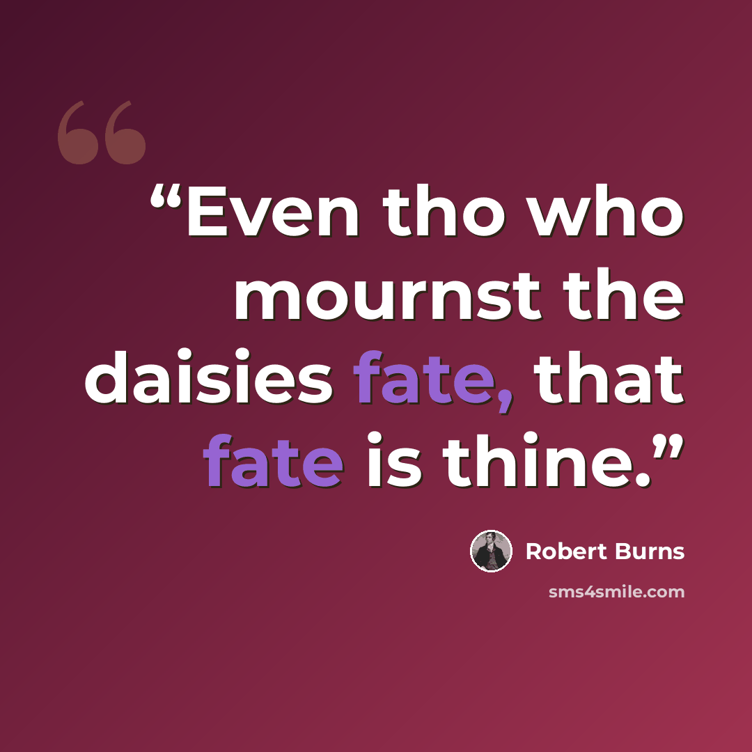 “Even tho who mournst the daisies fate, that fate is thine.” quote by Robert Burns