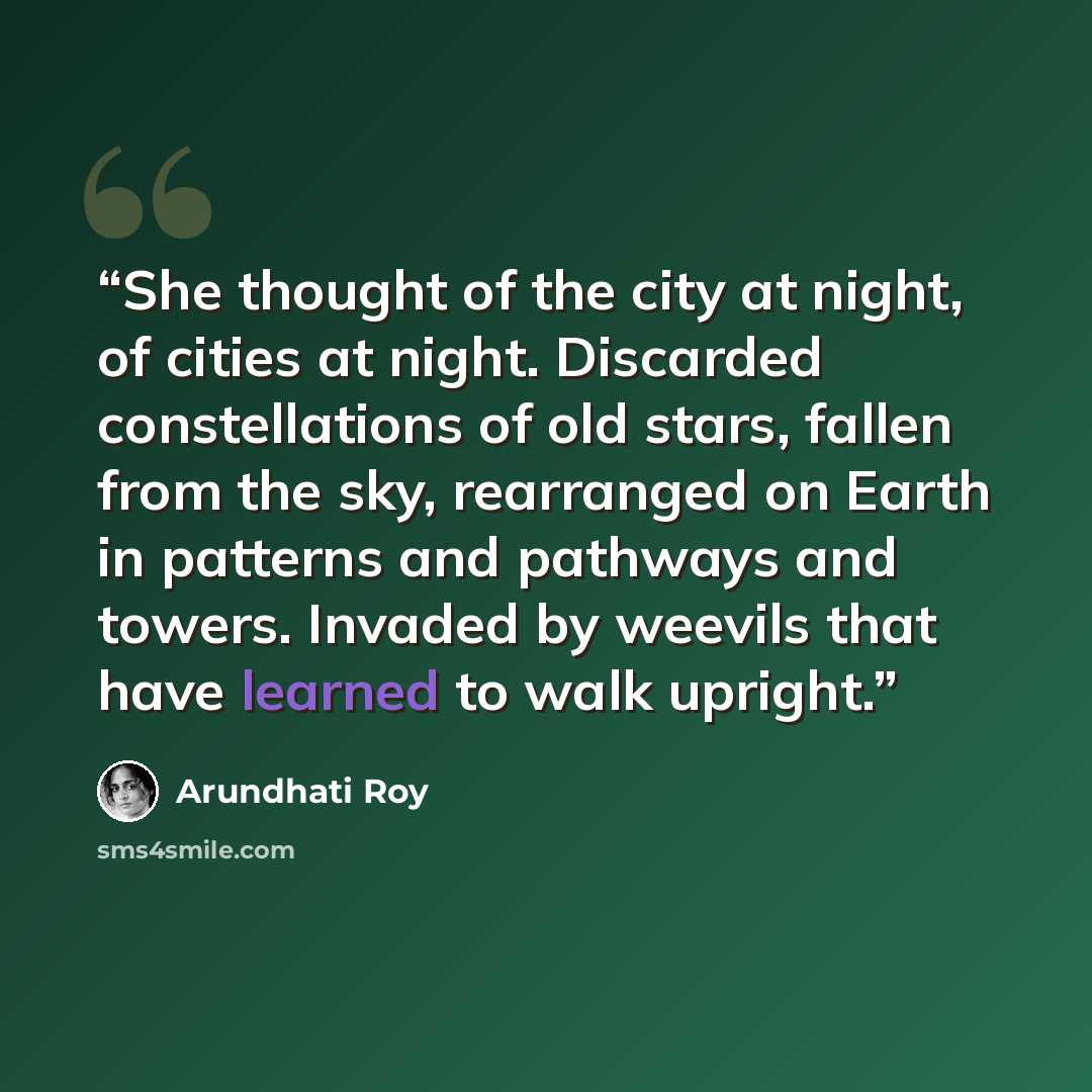 “She thought of the city at night, of cities at night. Discarded constellations of old stars, fallen from the sky, rearranged on Earth in patterns and pathways and towers. Invaded by weevils that have learned to walk upright.” quote by Arundhati Roy