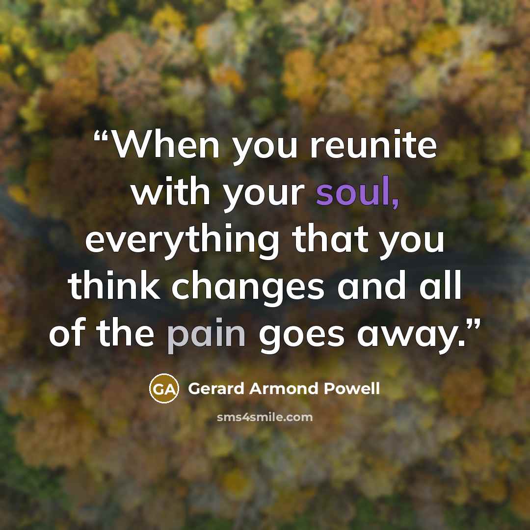 “When you reunite with your soul, everything that you think changes and all of the pain goes away.” quote by Gerard Armond Powell
