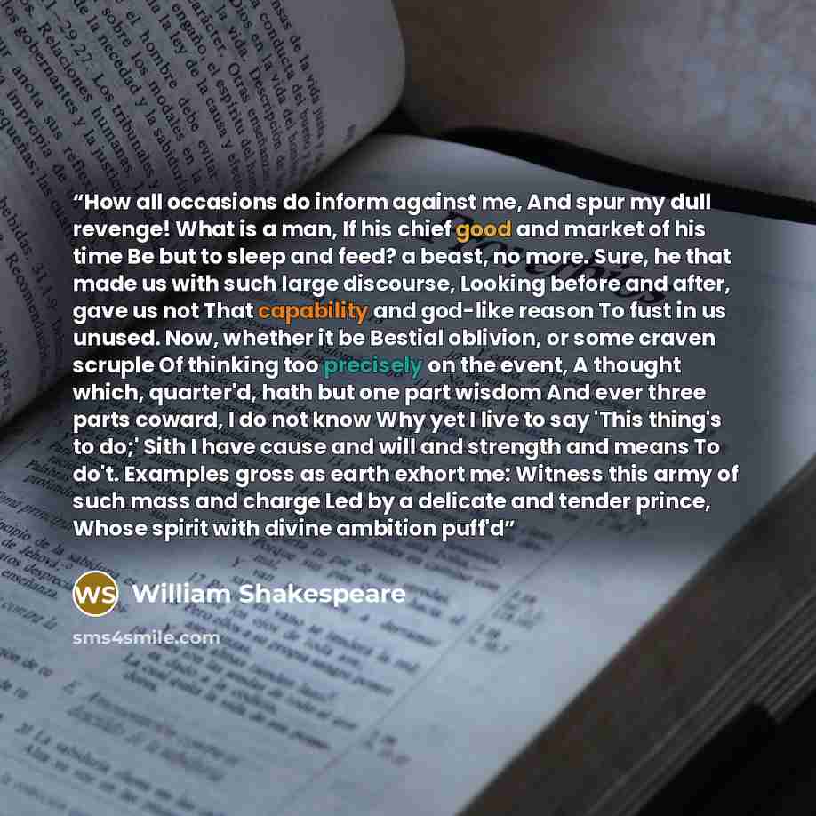 “How all occasions do inform against me, And spur my dull revenge! What is a man, If his chief good and market of his time Be but to sleep and feed? a beast, no more. Sure, he that made us with such large discourse, Looking before and after, gave us not That capability and god-like reason To fust…” quote by William Shakespeare