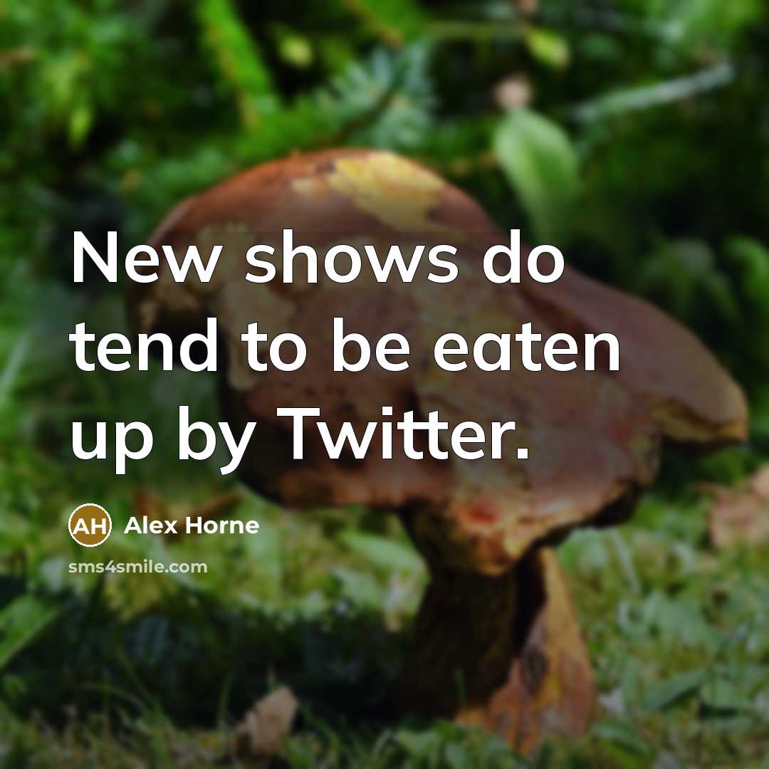 “New shows do tend to be eaten up by Twitter.” quote by Alex Horne
