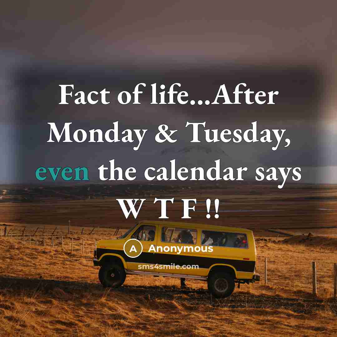 “Fact of life...After Monday & Tuesday, even the calendar says W T F !!” quote by Anonymous
