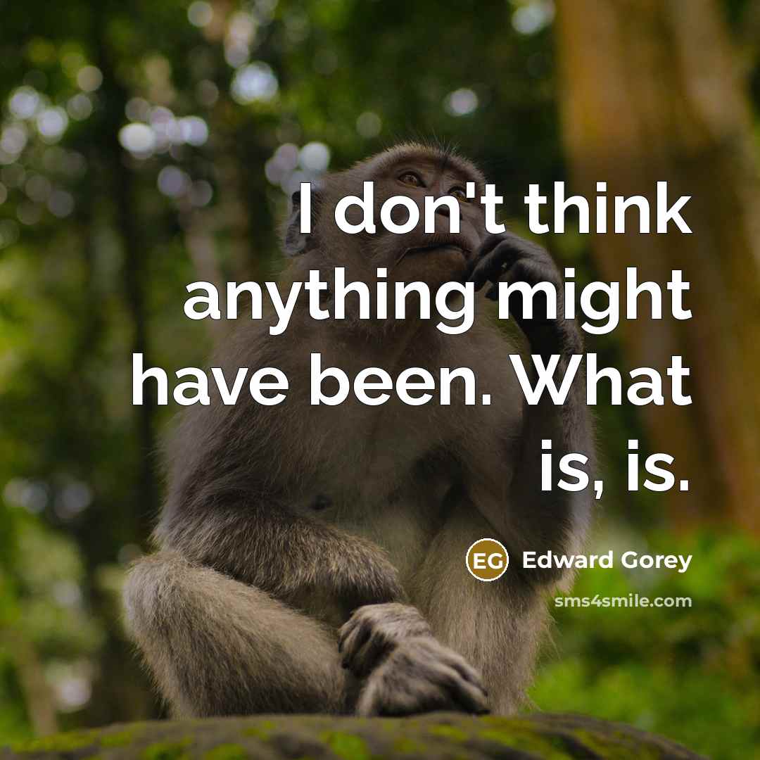 “I don't think anything might have been. What is, is.” quote by Edward Gorey