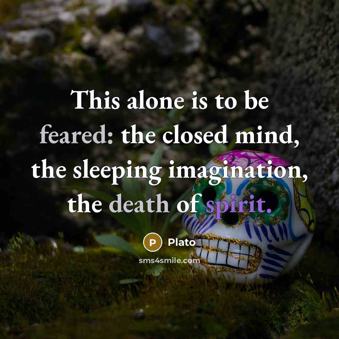 “This alone is to be feared: the closed mind, the sleeping imagination, the death of spirit.” quote by Plato
