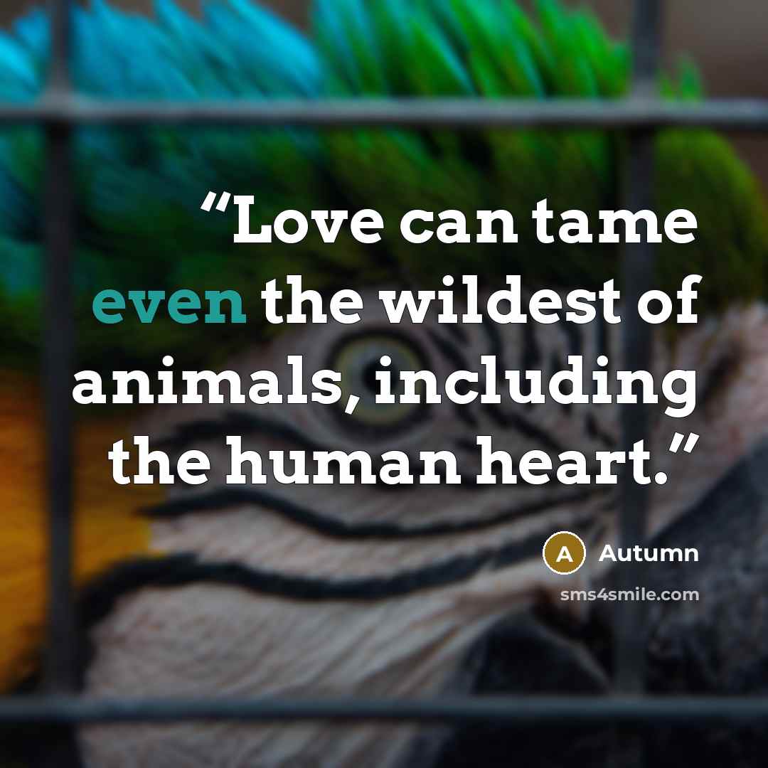 “Love can tame even the wildest of animals, including the human heart.” quote by Autumn