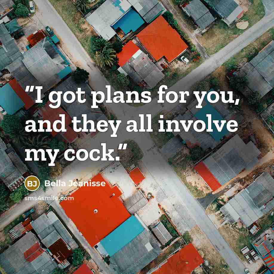 “I got plans for you, and they all involve my cock.” quote by Bella Jeanisse