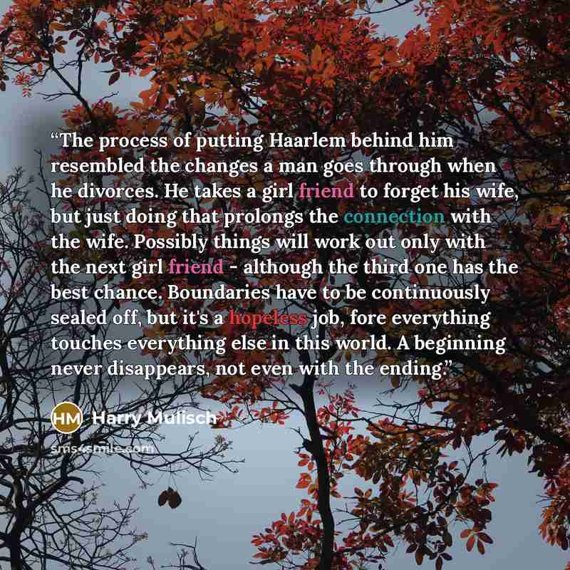 “The process of putting Haarlem behind him resembled the changes a man goes through when he divorces. He takes a girl friend to forget his wife, but just doing that prolongs the connection with the wife. Possibly things will work out only with the next girl friend - although the third one has the…” quote by Harry Mulisch