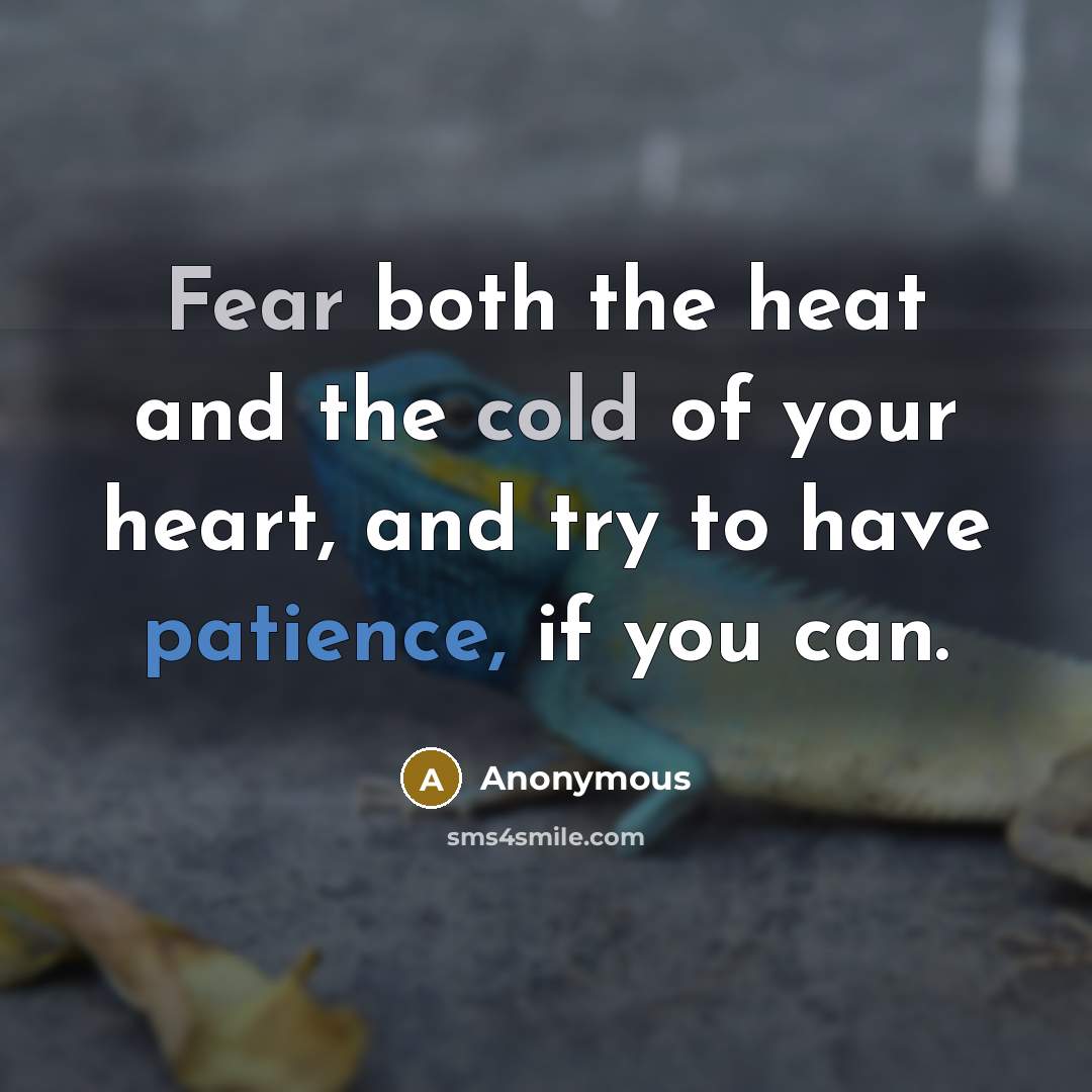 “Fear both the heat and the cold of your heart, and try to have patience, if you can.” quote by Anonymous