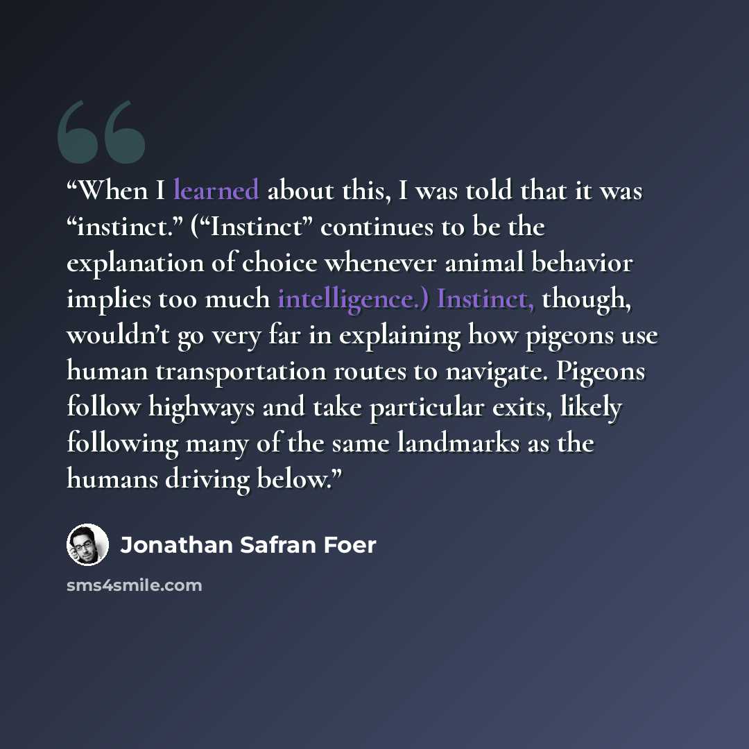 “When I learned about this, I was told that it was “instinct.” (“Instinct” continues to be the explanation of choice whenever animal behavior implies too much intelligence.) Instinct, though, wouldn’t go very far in explaining how pigeons use human transportation routes to navigate. Pigeons follow…” quote by Jonathan Safran Foer