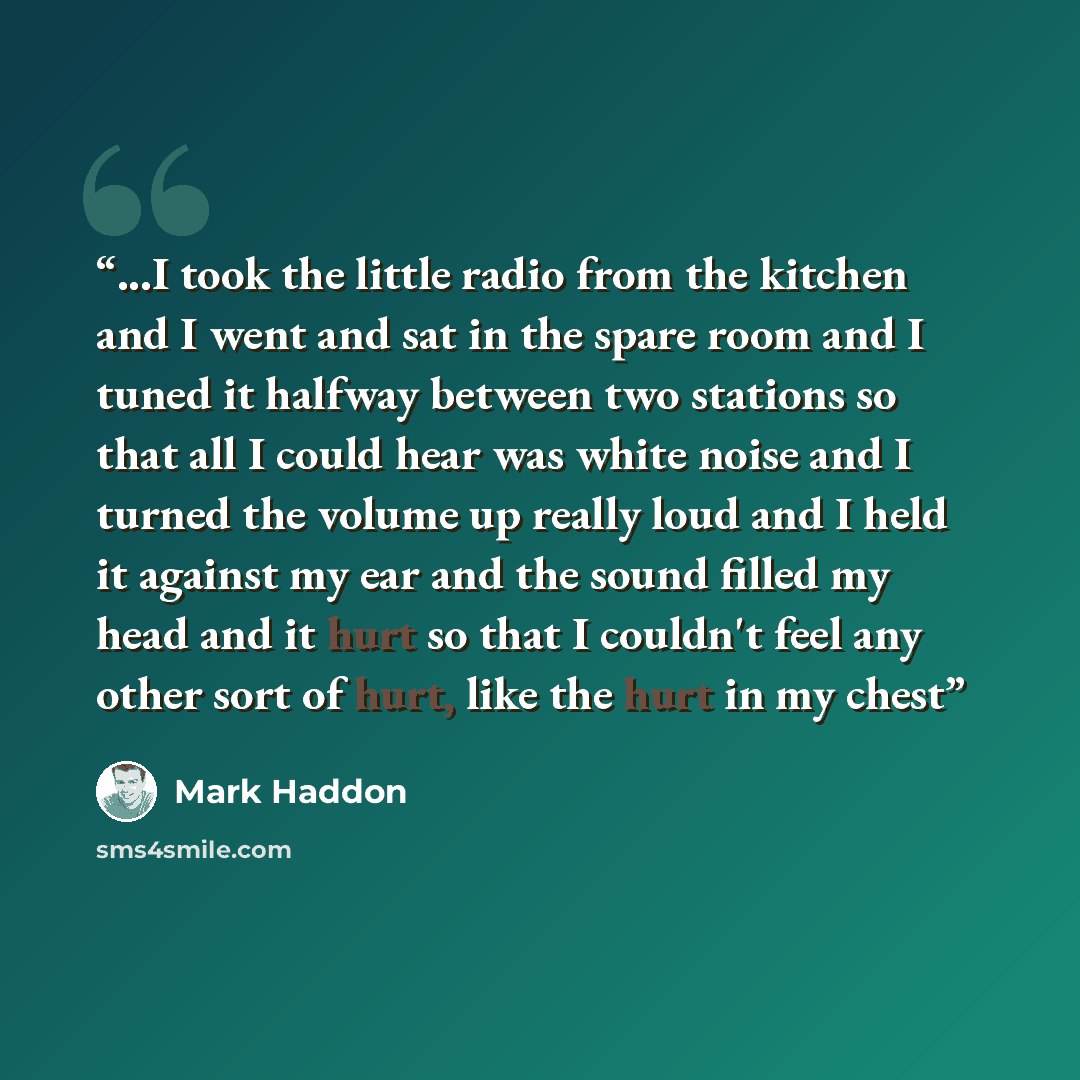 “...I took the little radio from the kitchen and I went and sat in the spare room and I tuned it halfway between two stations so that all I could hear was white noise and I turned the volume up really loud and I held it against my ear and the sound filled my head and it hurt so that I couldn't feel…” quote by Mark Haddon