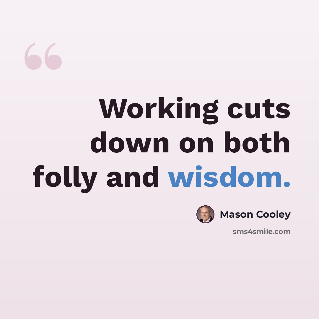 “Working cuts down on both folly and wisdom.” quote by Mason Cooley