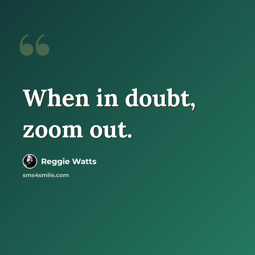 “When in doubt, zoom out.” quote by Reggie Watts
