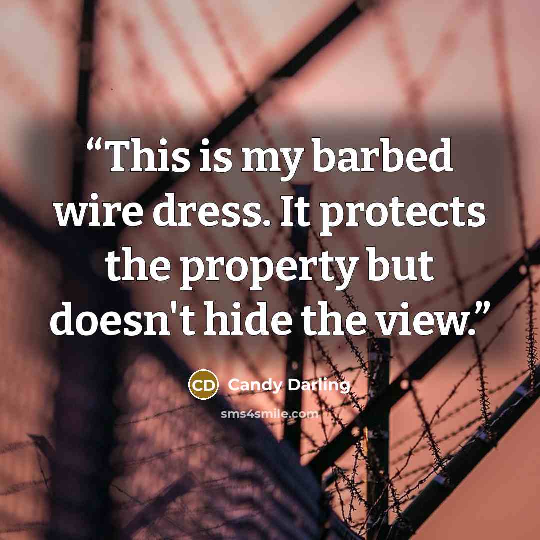 “This is my barbed wire dress. It protects the property but doesn't hide the view.” quote by Candy Darling