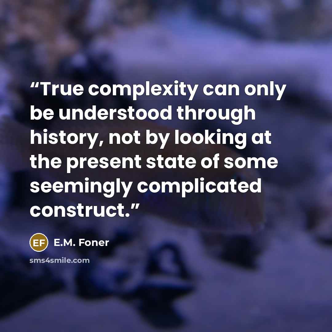 “True complexity can only be understood through history, not by looking at the present state of some seemingly complicated construct.” quote by E.M. Foner