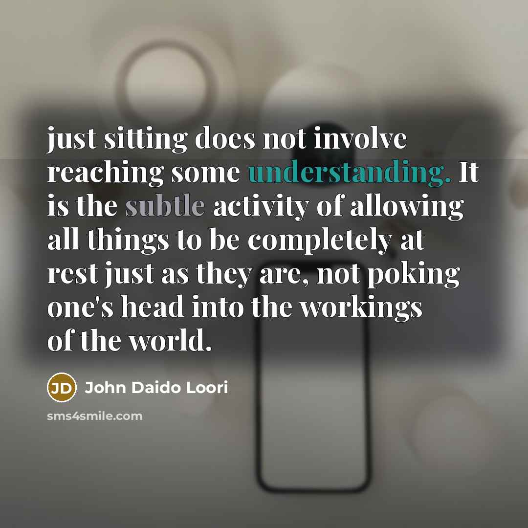 “just sitting does not involve reaching some understanding. It is the subtle activity of allowing all things to be completely at rest just as they are, not poking one's head into the workings of the world.” quote by John Daido Loori