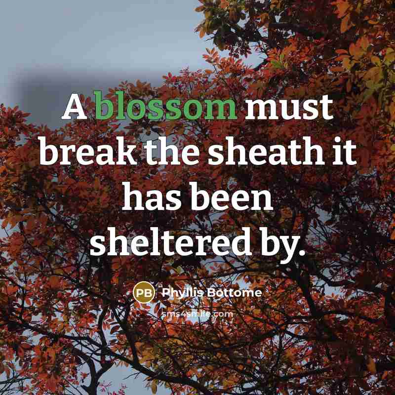 “A blossom must break the sheath it has been sheltered by.” quote by Phyllis Bottome