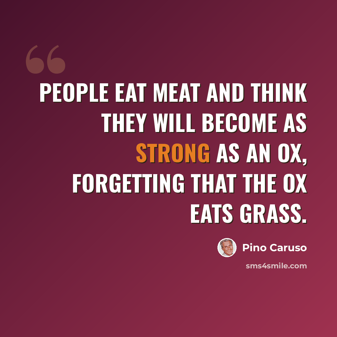 “People eat meat and think they will become as strong as an ox, forgetting that the ox eats grass.” quote by Pino Caruso