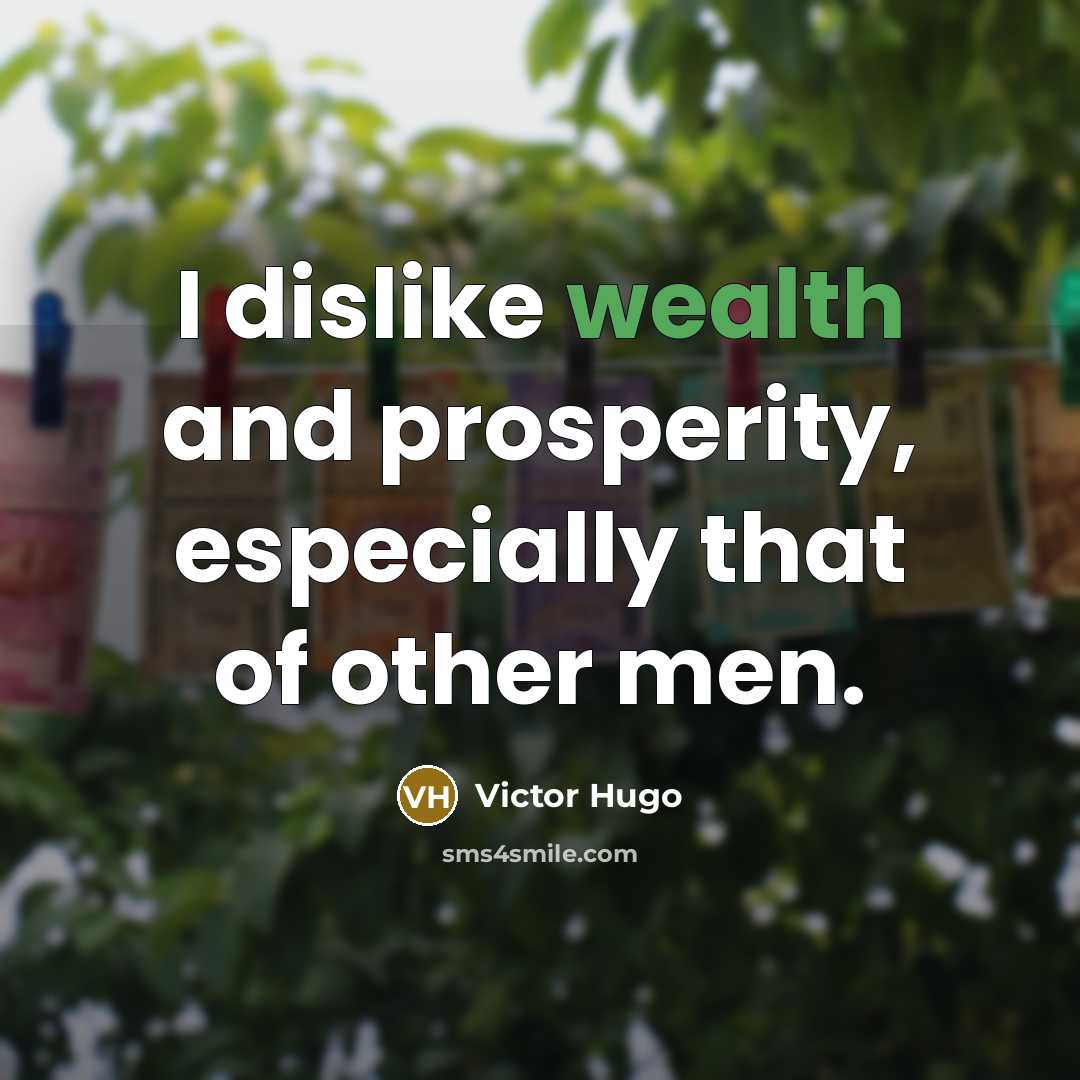 “I dislike wealth and prosperity, especially that of other men.” quote by Victor Hugo