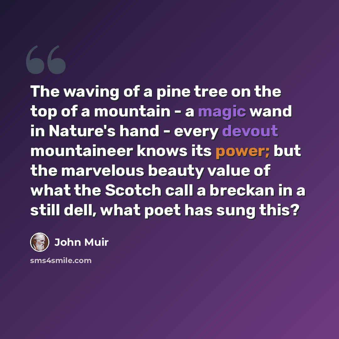 “The waving of a pine tree on the top of a mountain - a magic wand in Nature's hand - every devout mountaineer knows its power; but the marvelous beauty value of what the Scotch call a breckan in a still dell, what poet has sung this?” quote by John Muir
