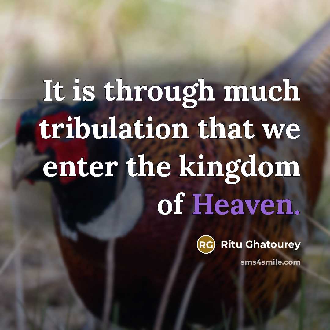 “It is through much tribulation that we enter the kingdom of Heaven.” quote by Ritu Ghatourey