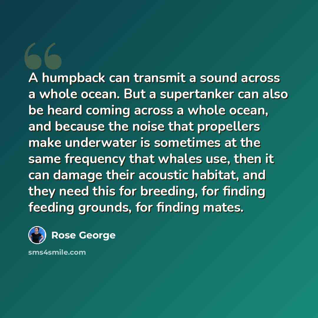 “A humpback can transmit a sound across a whole ocean. But a supertanker can also be heard coming across a whole ocean, and because the noise that propellers make underwater is sometimes at the same frequency that whales use, then it can damage their acoustic habitat, and they need this for…” quote by Rose George