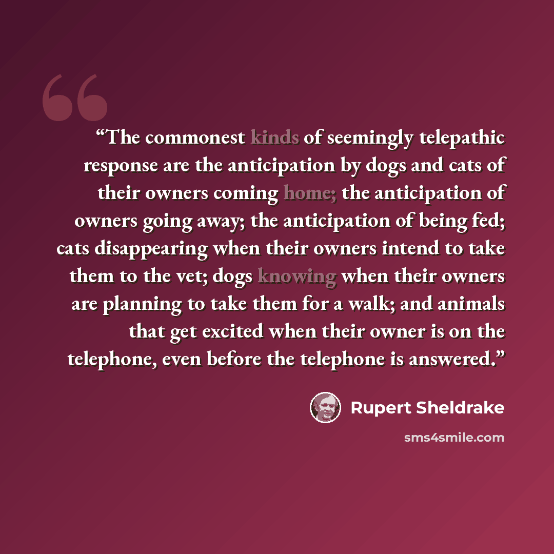 “The commonest kinds of seemingly telepathic response are the anticipation by dogs and cats of their owners coming home; the anticipation of owners going away; the anticipation of being fed; cats disappearing when their owners intend to take them to the vet; dogs knowing when their owners are…” quote by Rupert Sheldrake